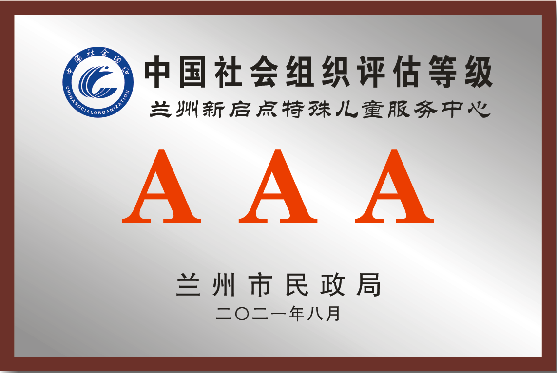 中国社会组织评估等级